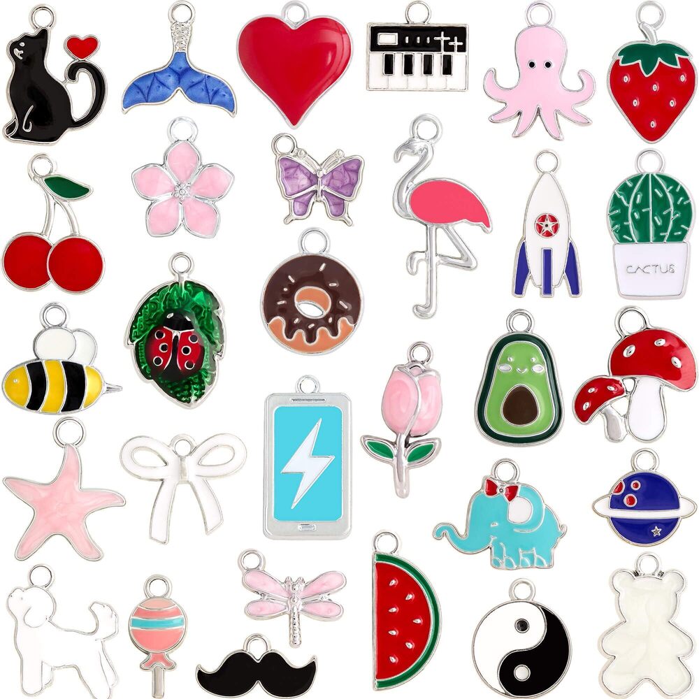 8424 30Pcs Charms for Jewelry Making and Crafting - Assorted Enamel Charms